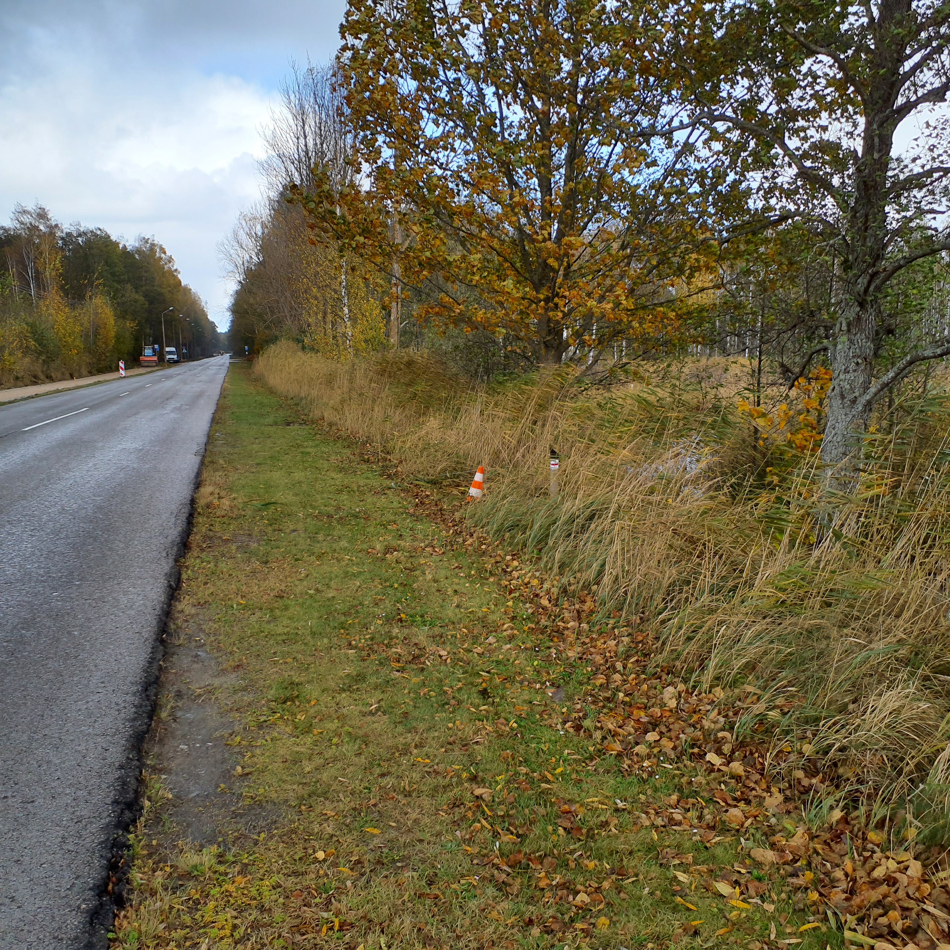 Apkārtnes foto