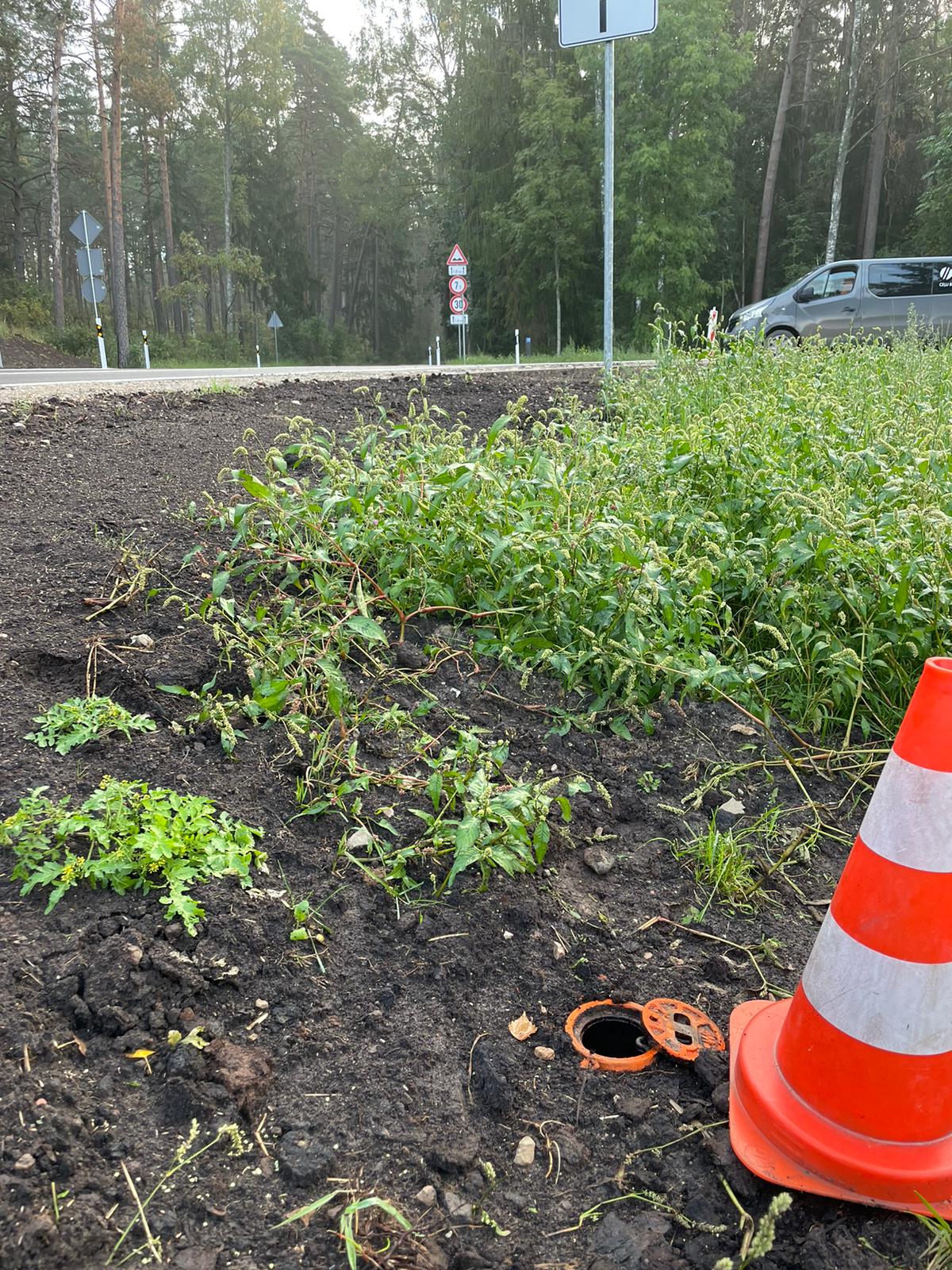 Apkārtnes foto