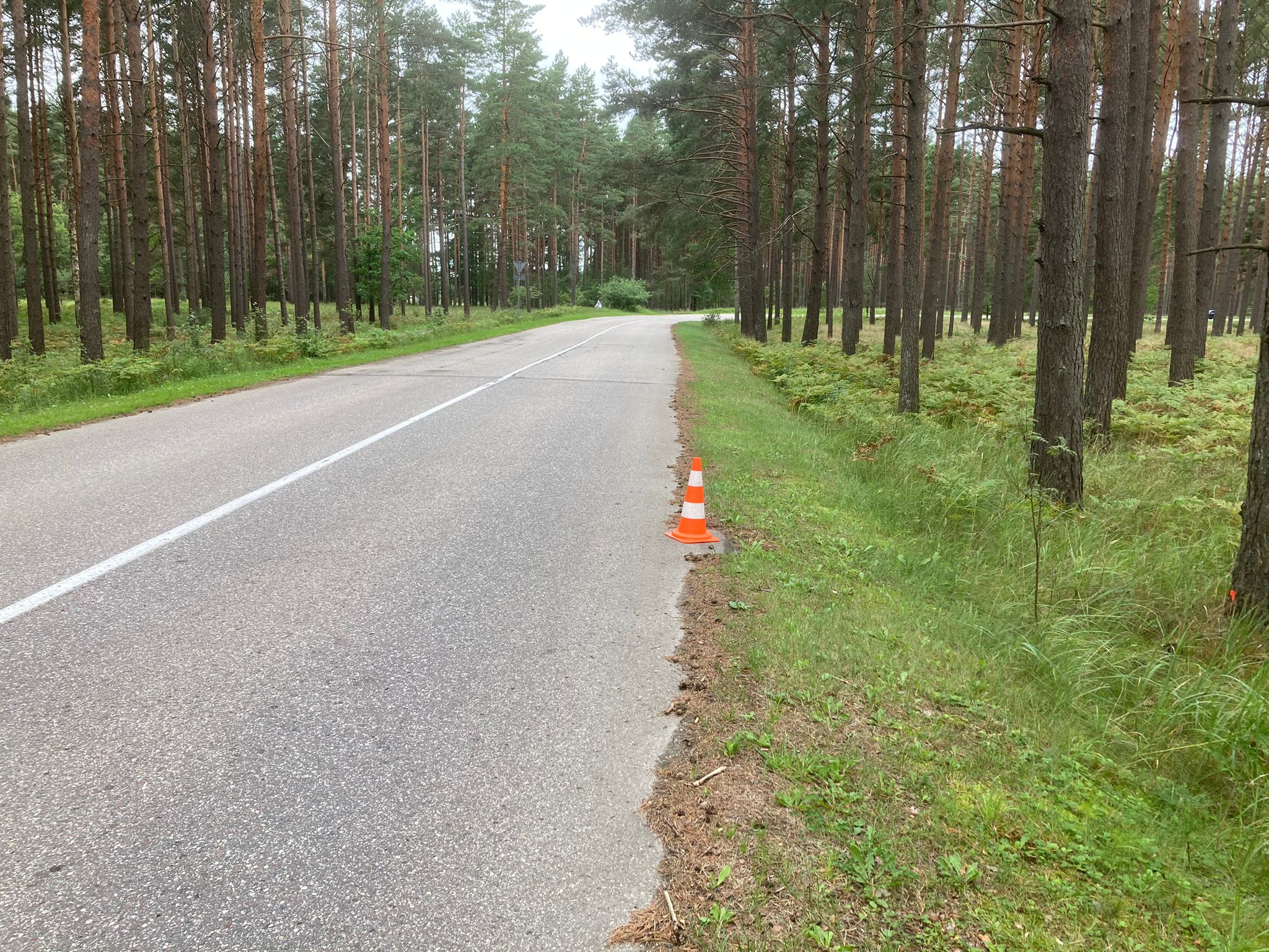 Apkārtnes foto
