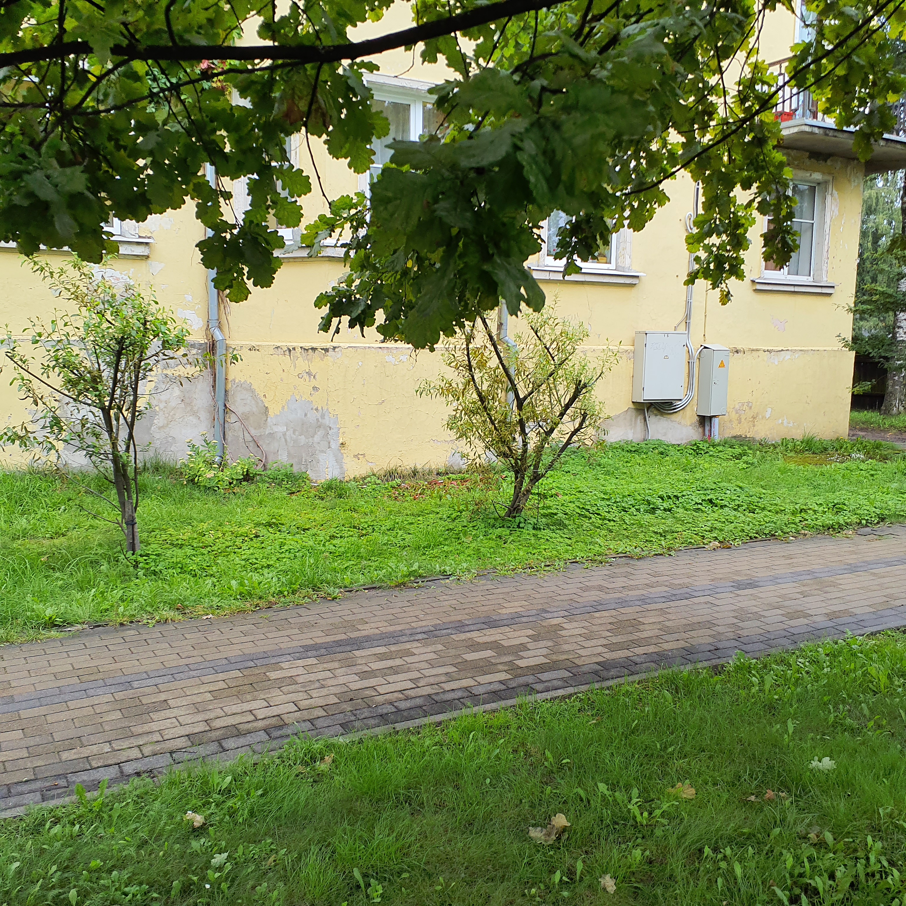 Apkārtnes foto