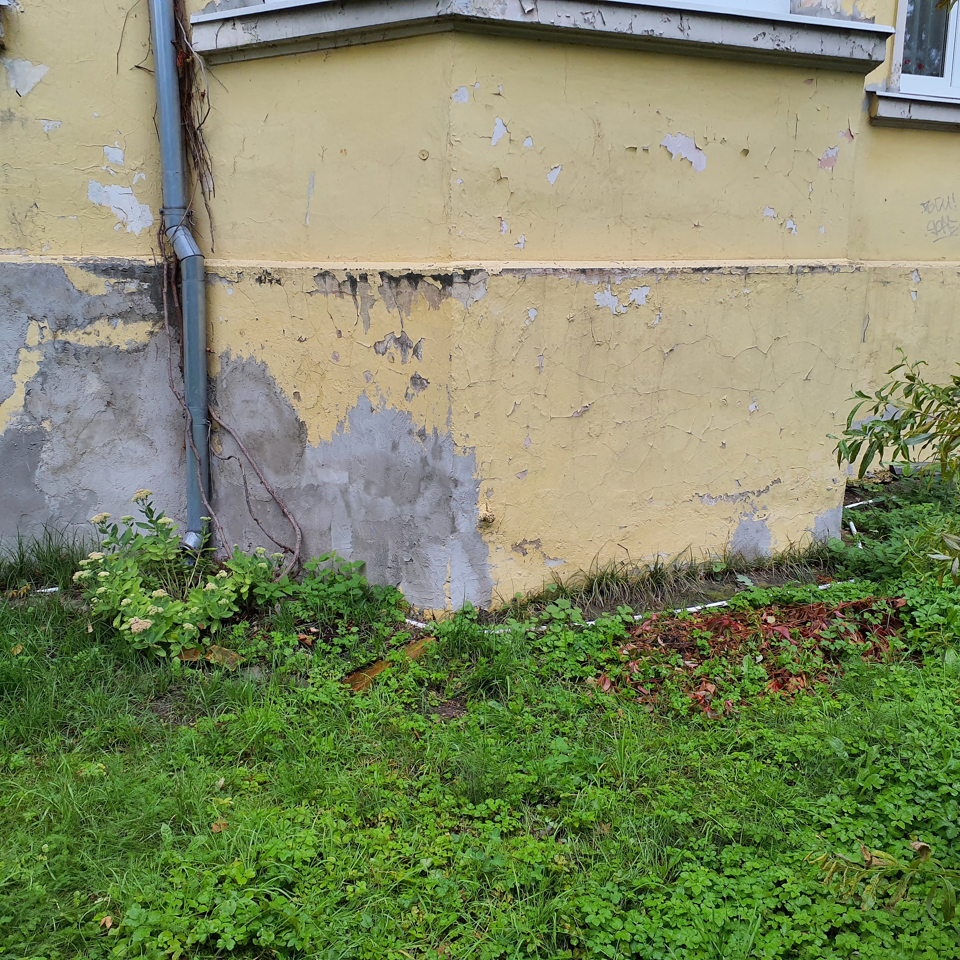 Apkārtnes foto
