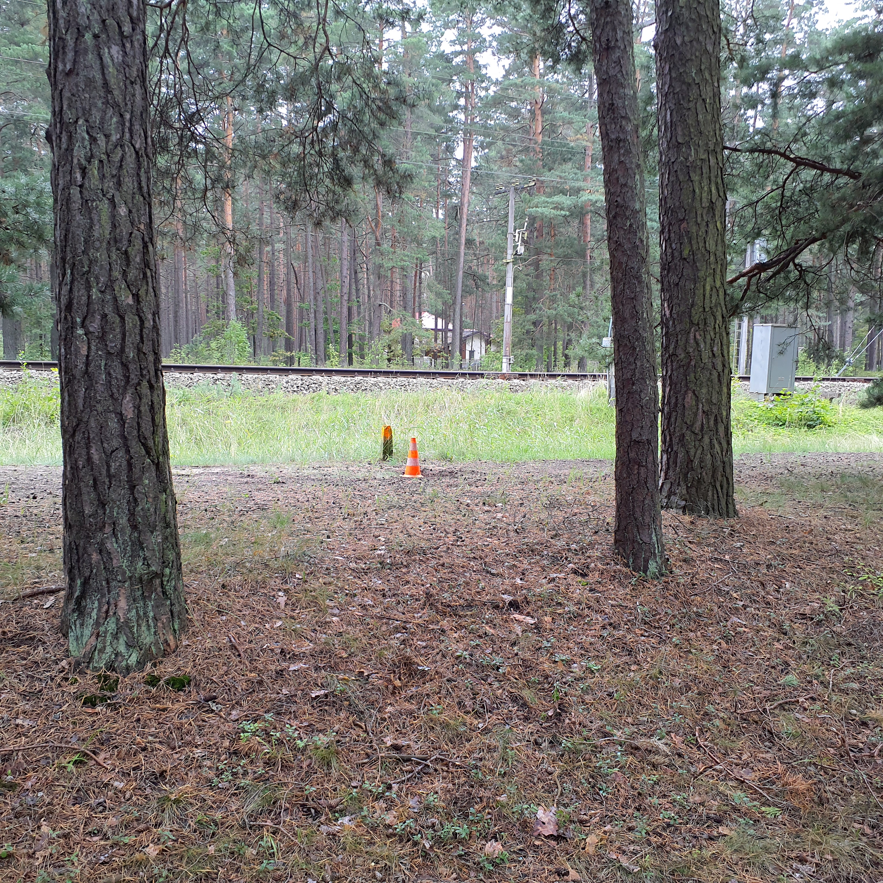 Apkārtnes foto