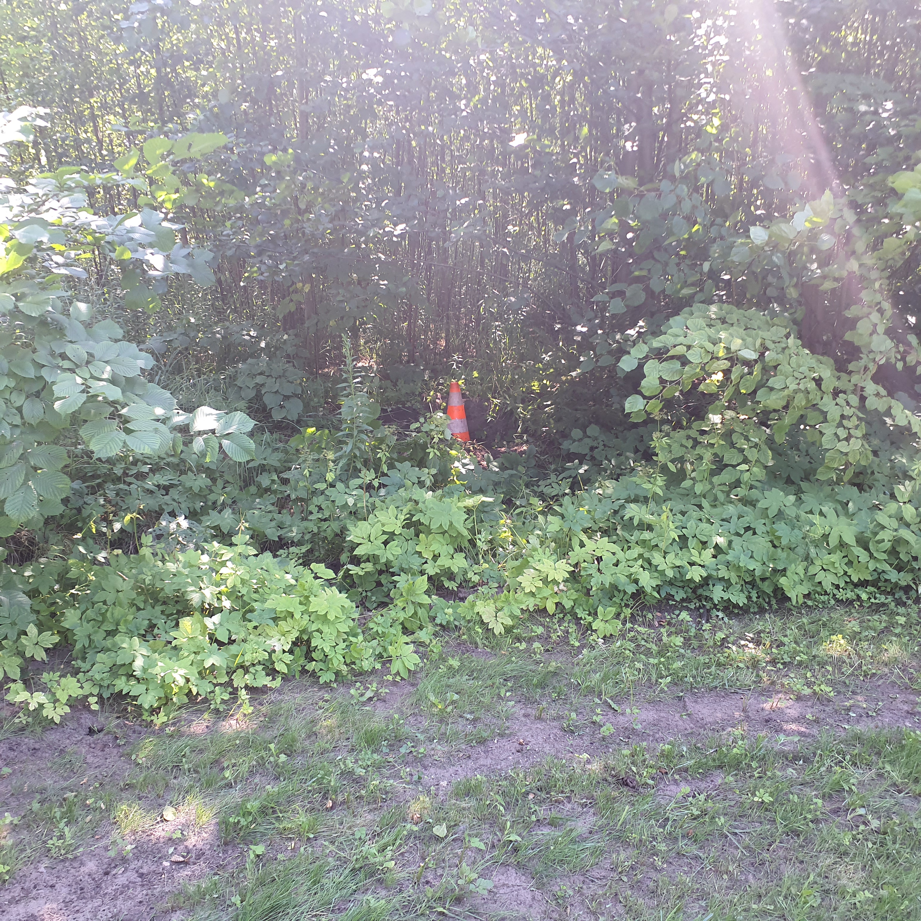 Apkārtnes foto