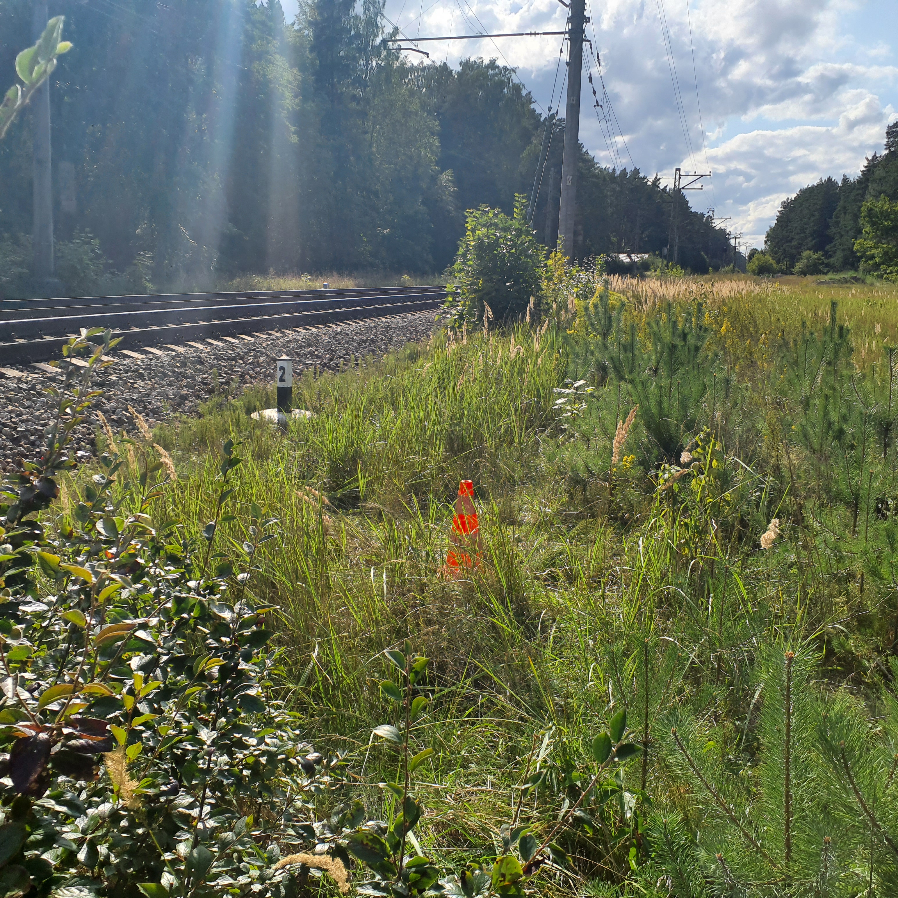 Apkārtnes foto