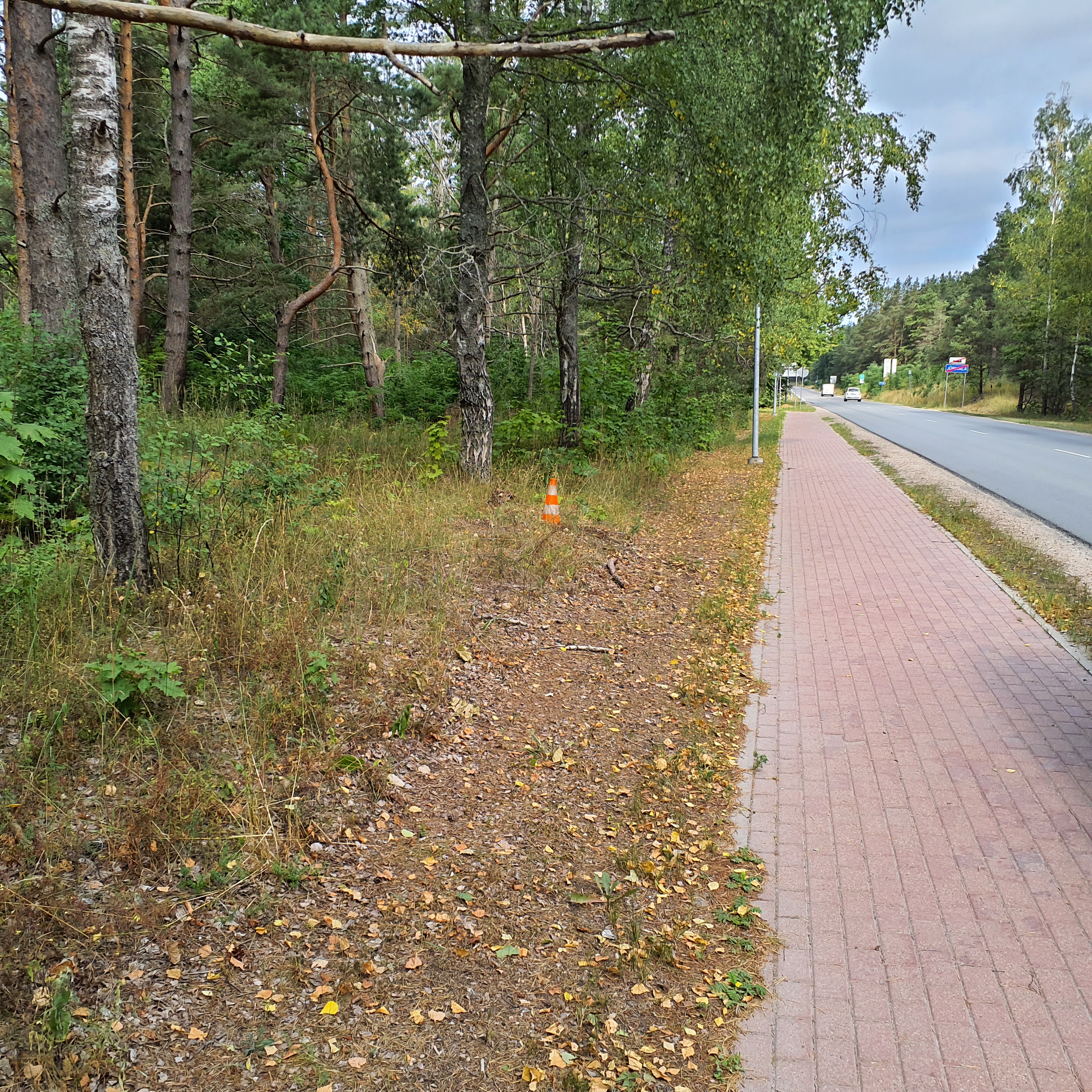 Apkārtnes foto