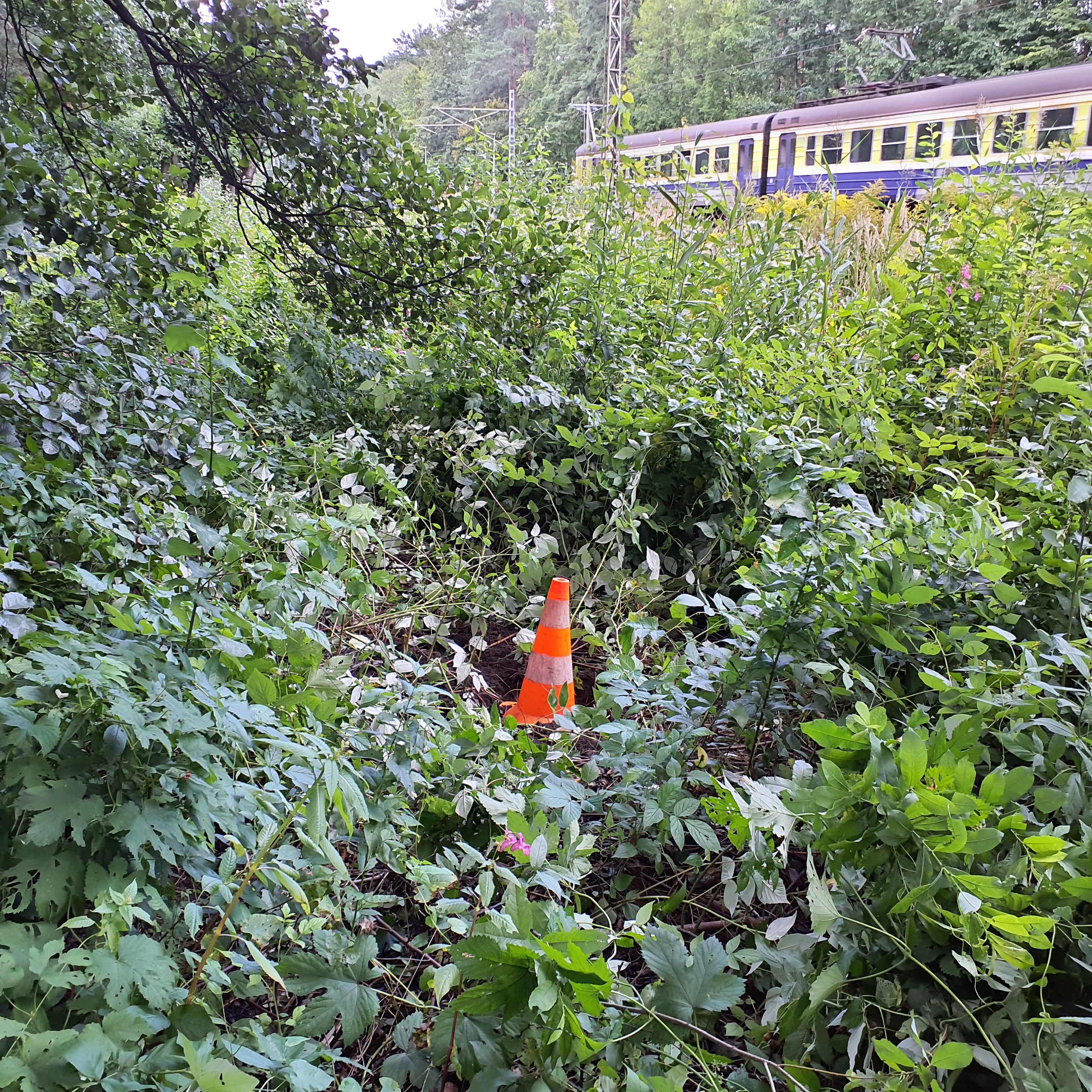 Apkārtnes foto
