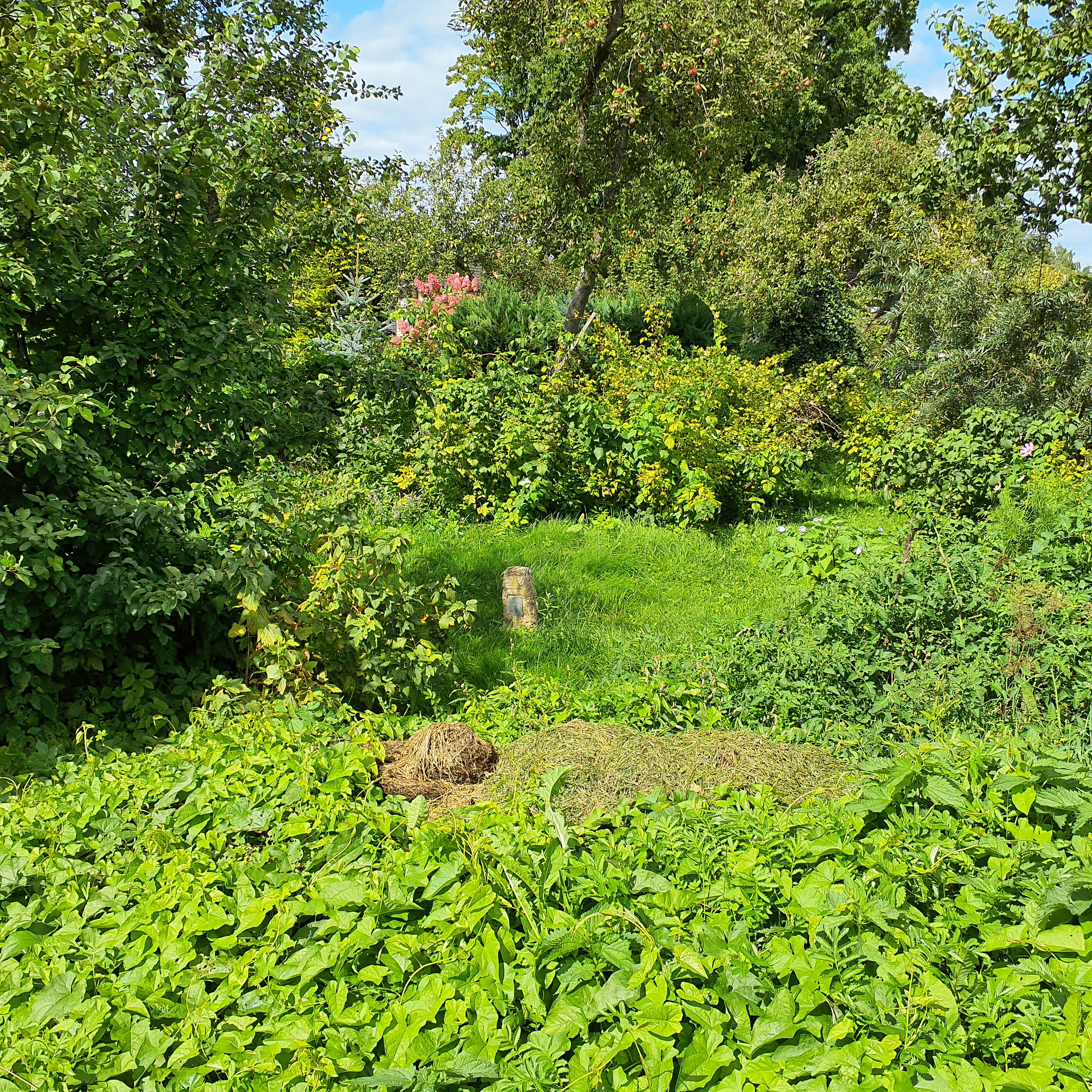 Apkārtnes foto