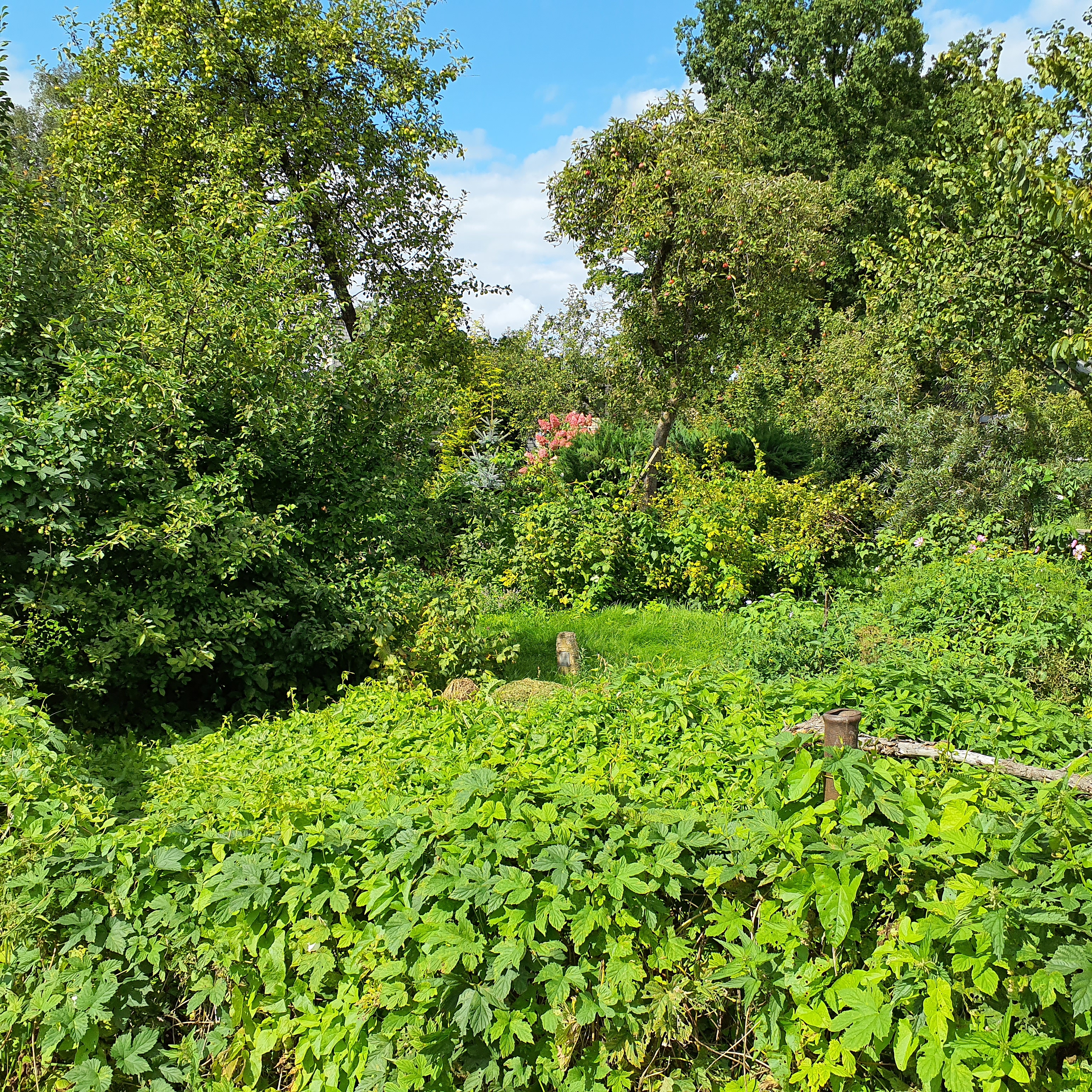 Apkārtnes foto