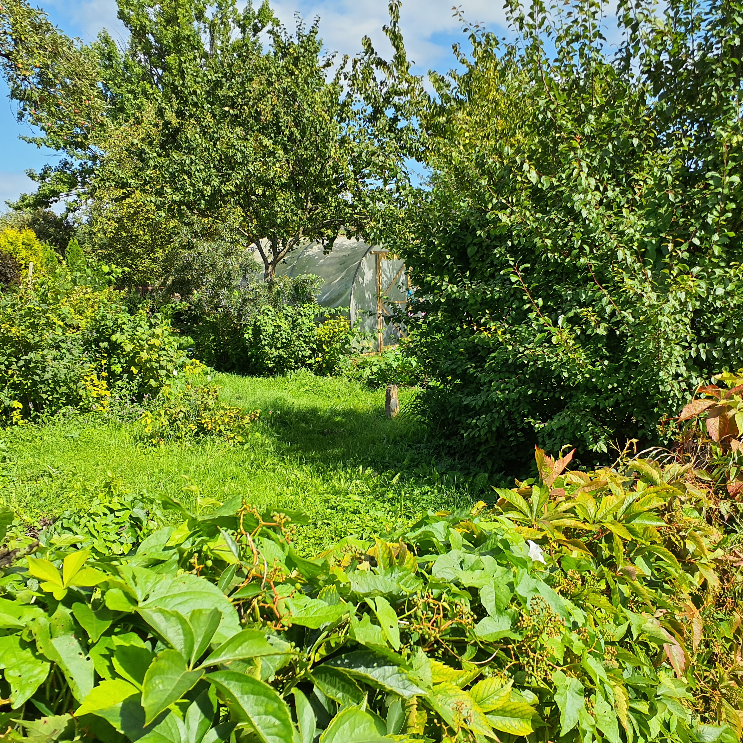 Apkārtnes foto