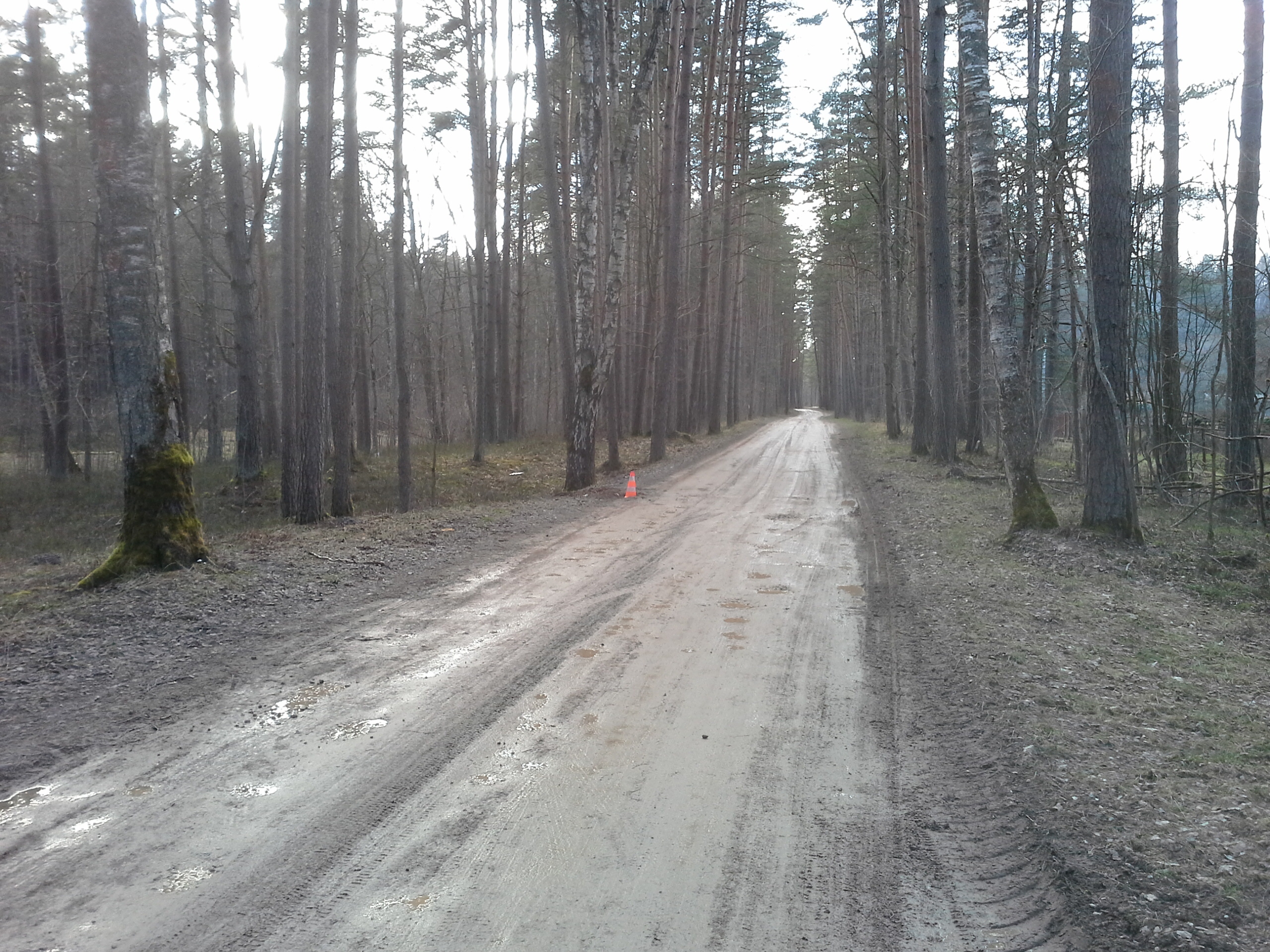 Apkārtnes foto