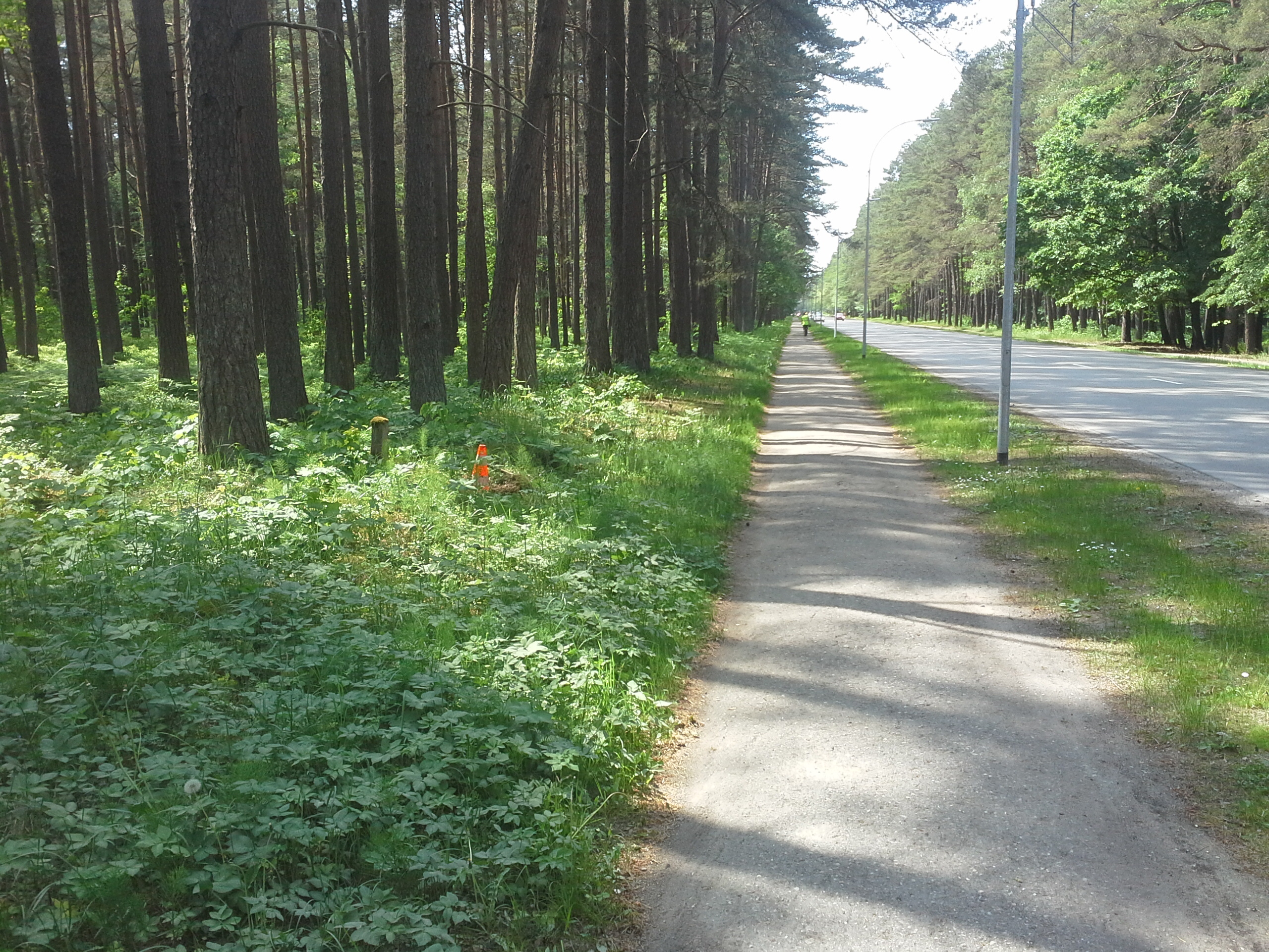 Apkārtnes foto