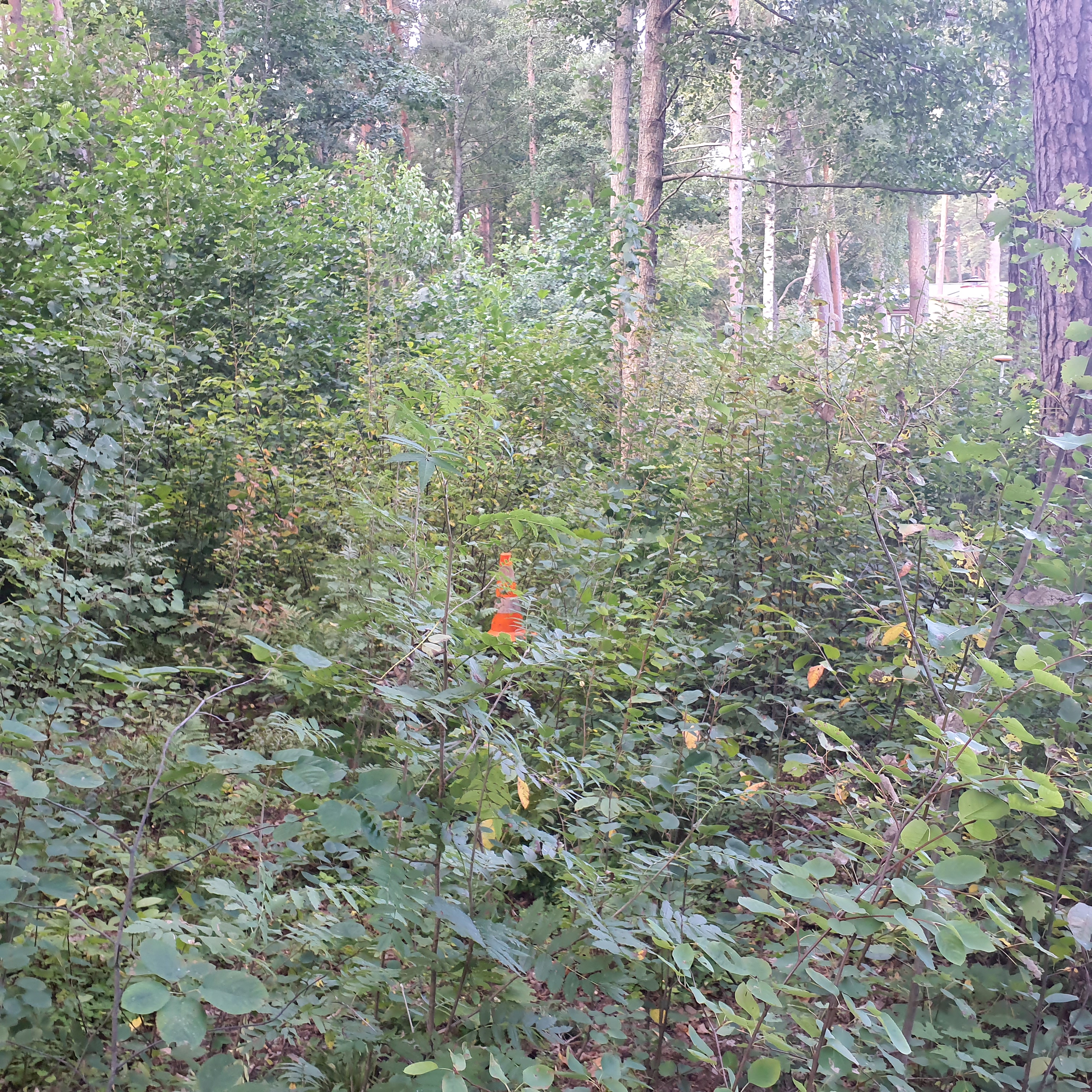 Apkārtnes foto