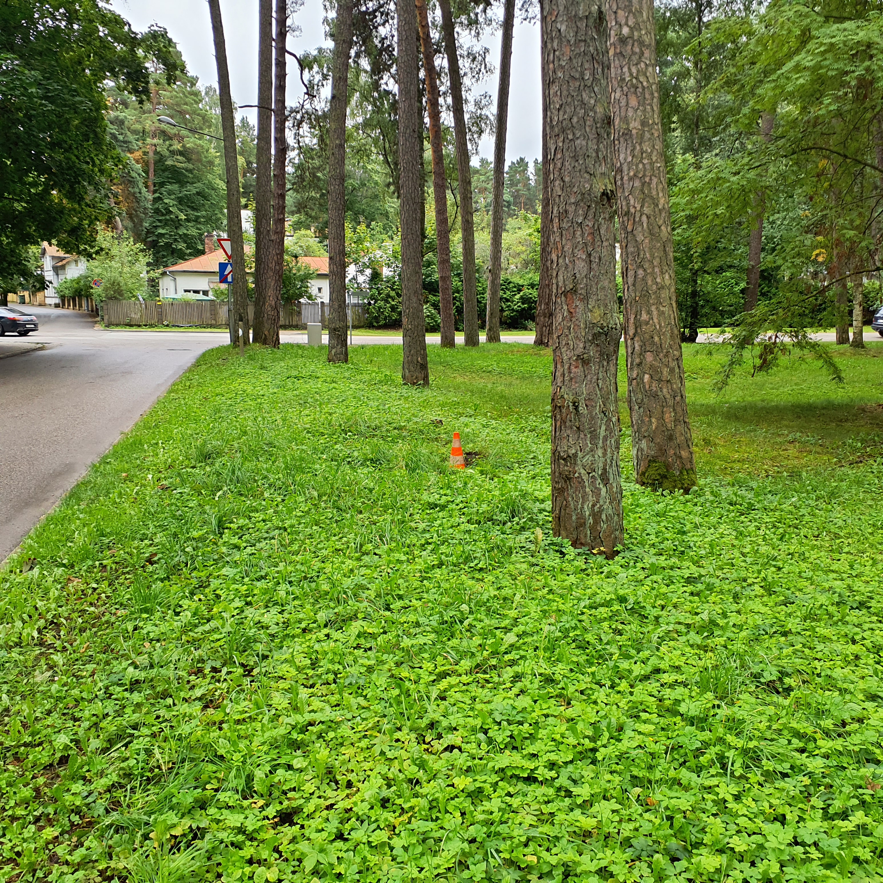 Apkārtnes foto