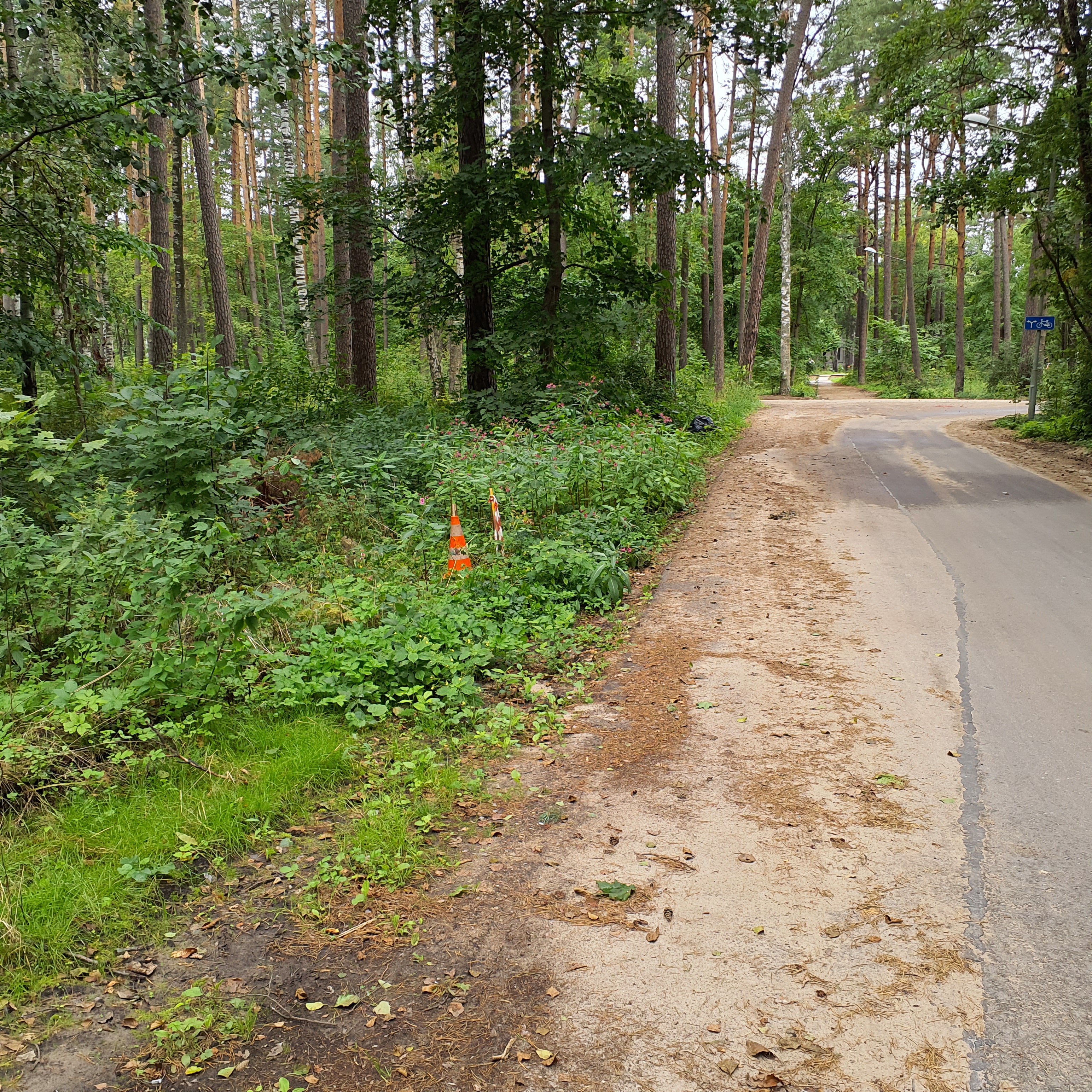 Apkārtnes foto