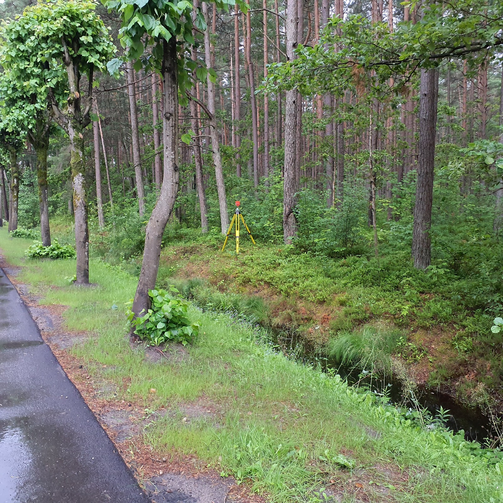 Apkārtnes foto