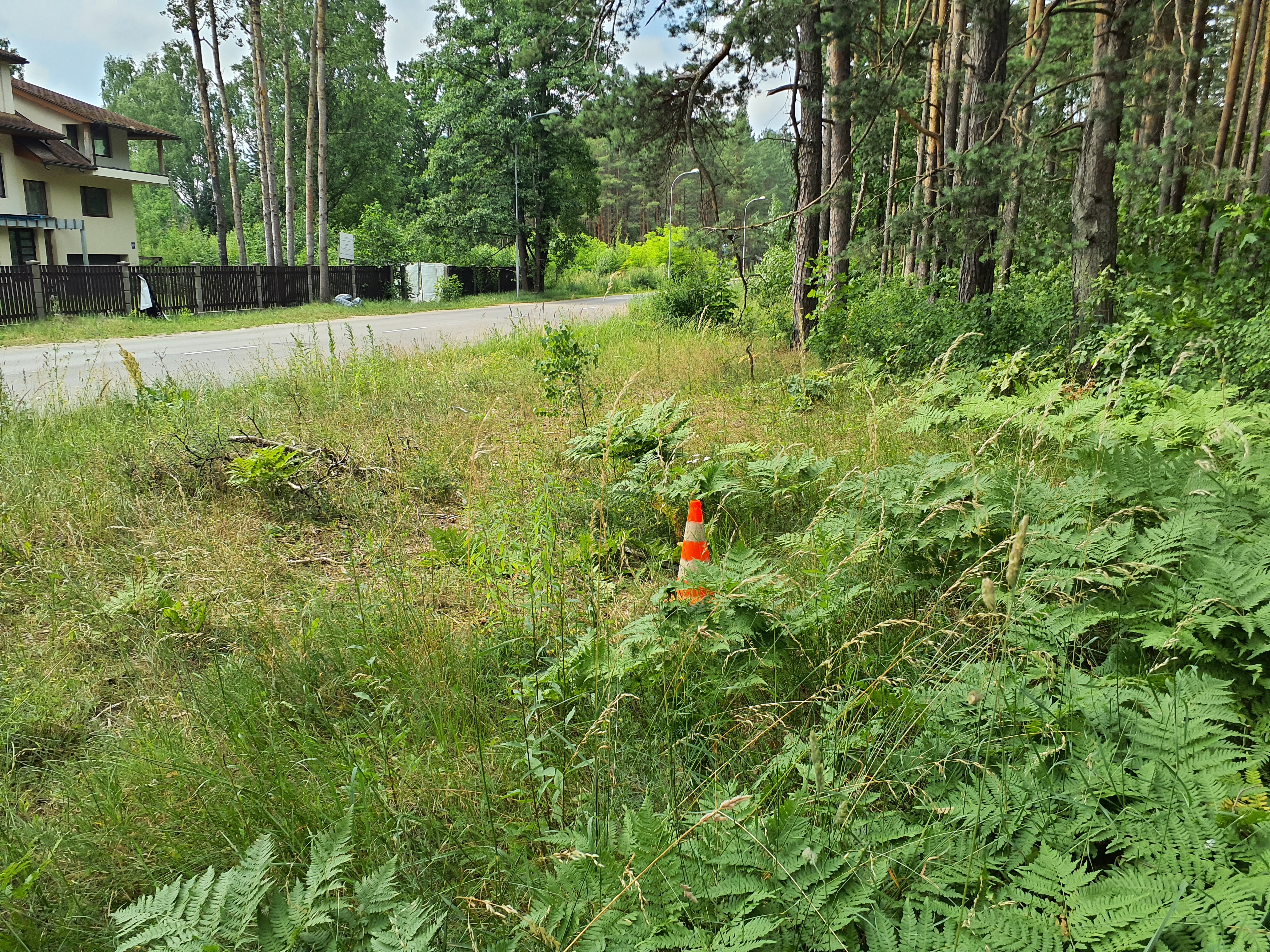 Apkārtnes foto