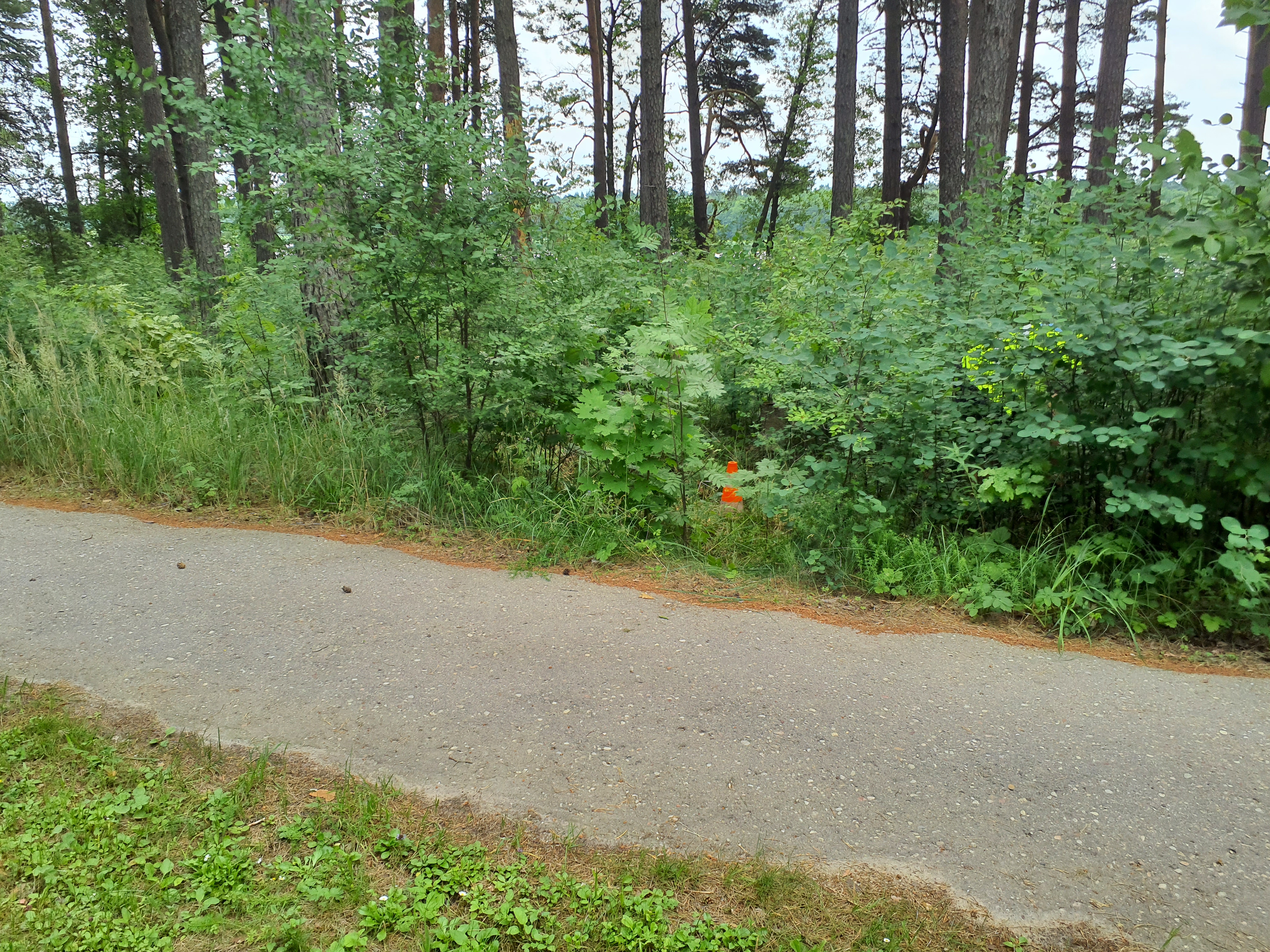 Apkārtnes foto