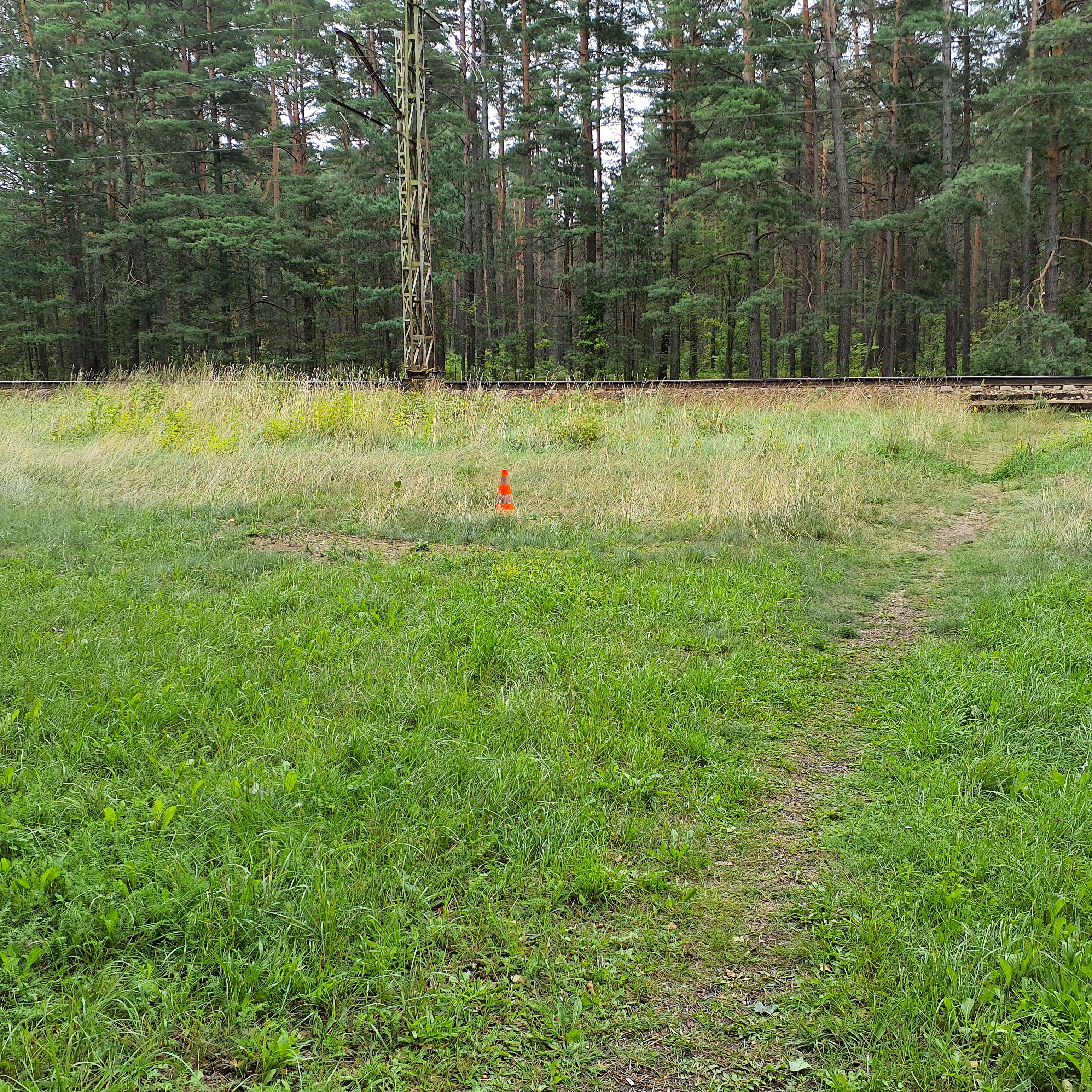 Apkārtnes foto