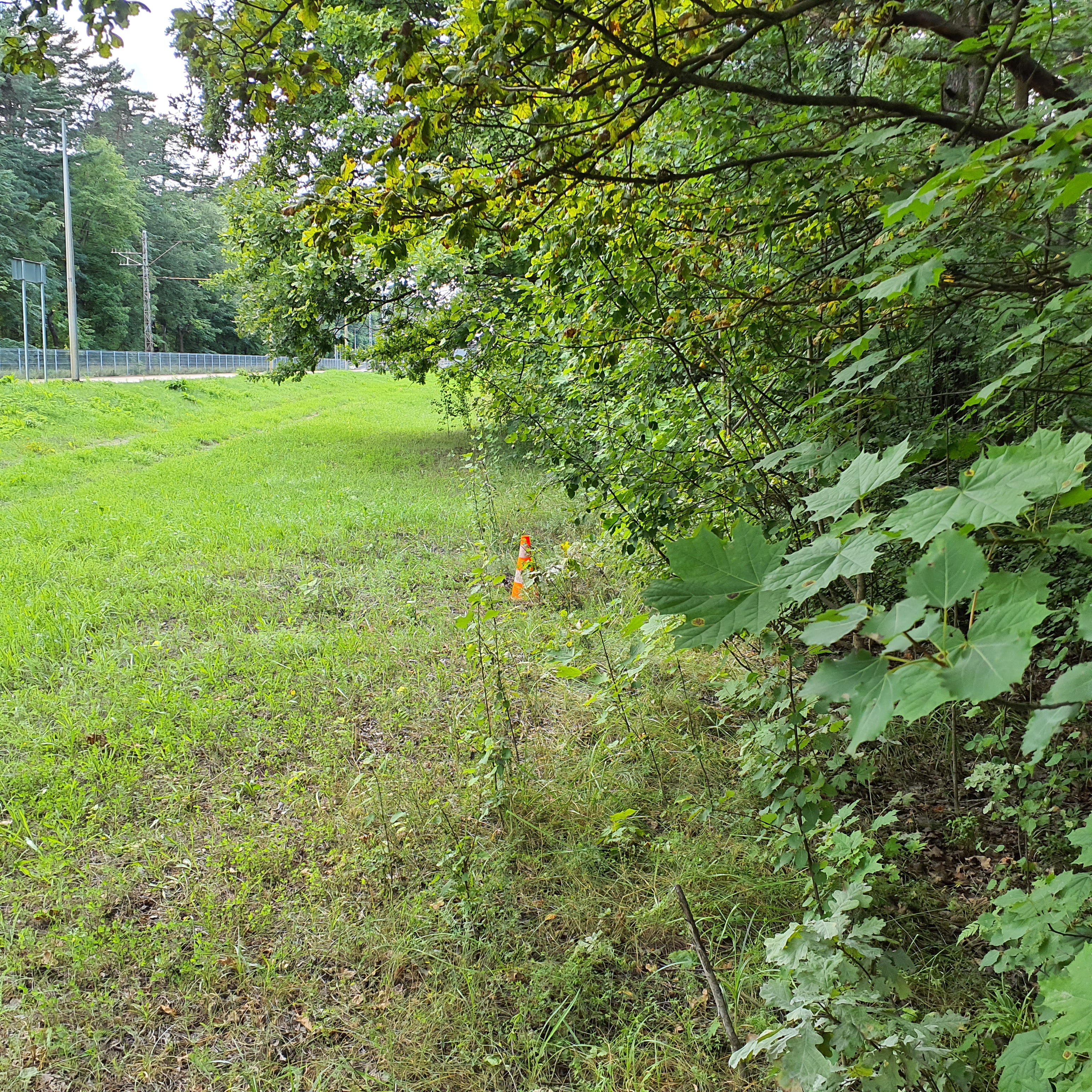 Apkārtnes foto