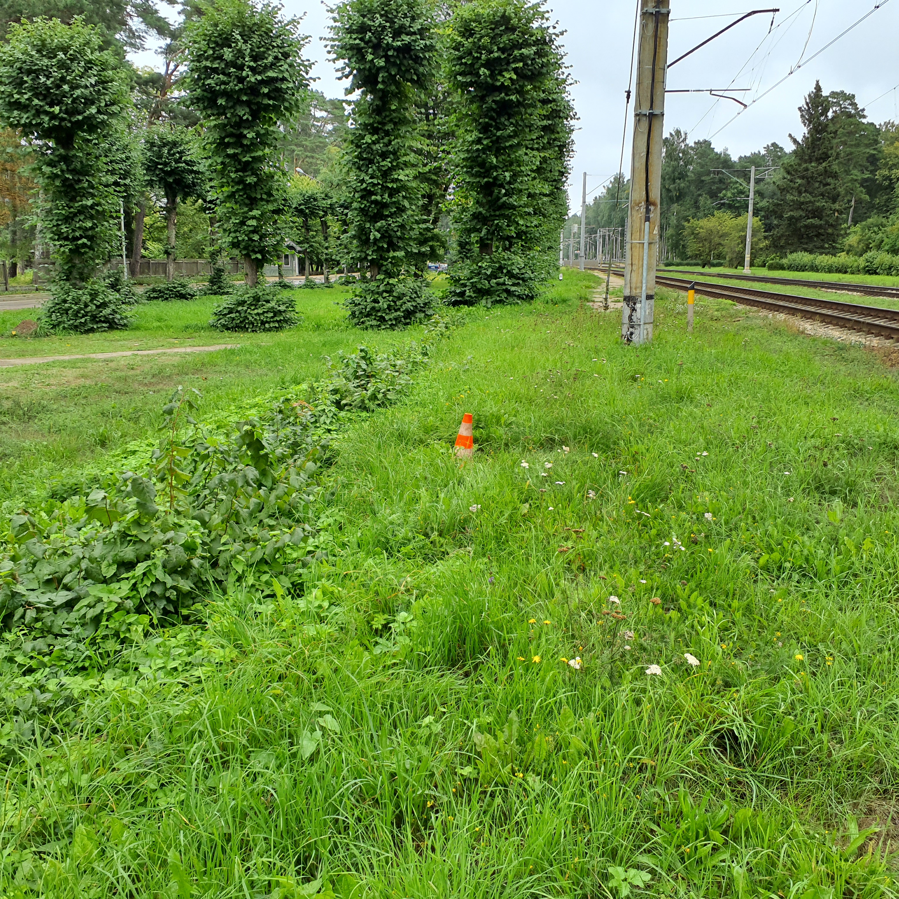 Apkārtnes foto